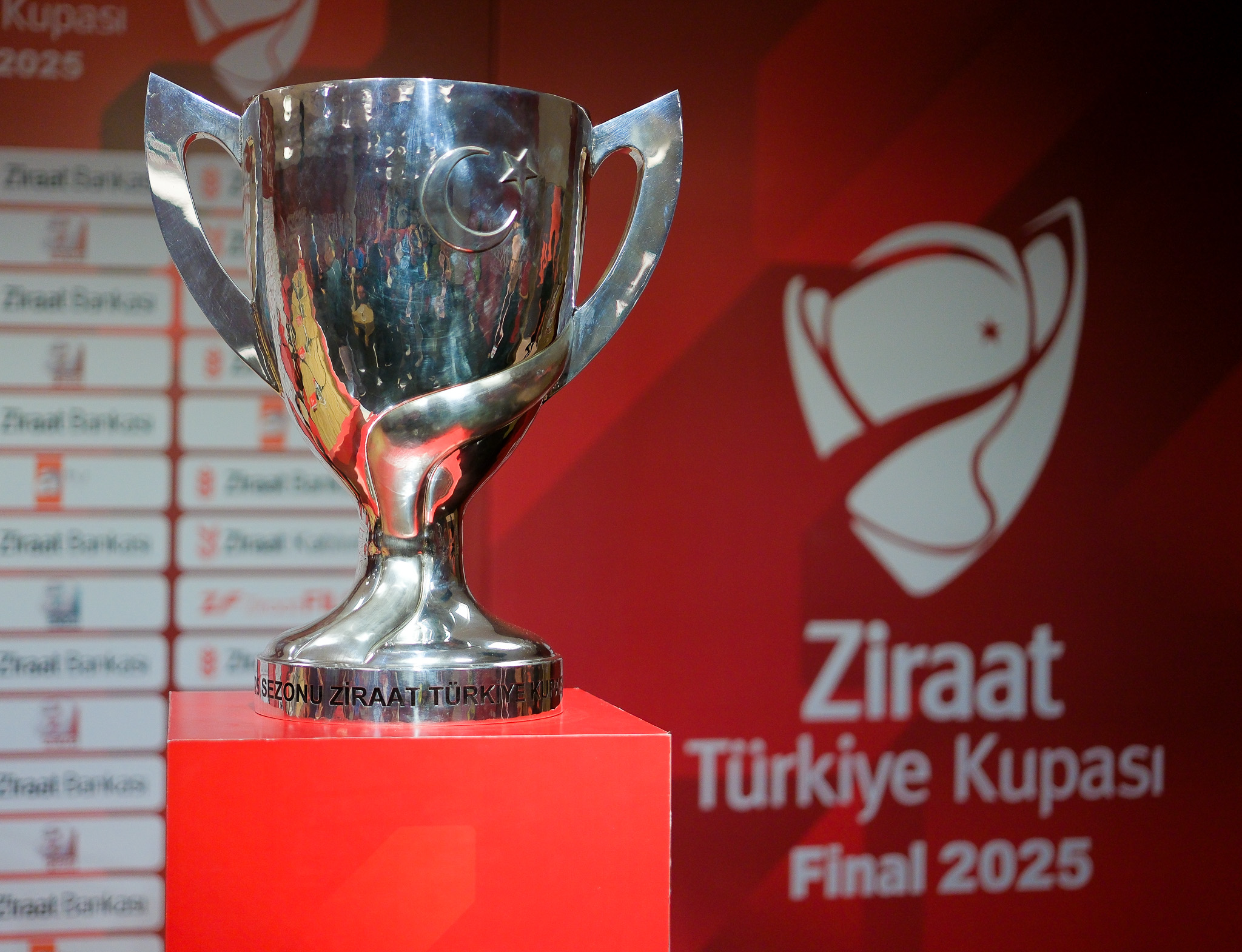 Eşitsizliğin Yuvası, Türkiye’nin Kupası