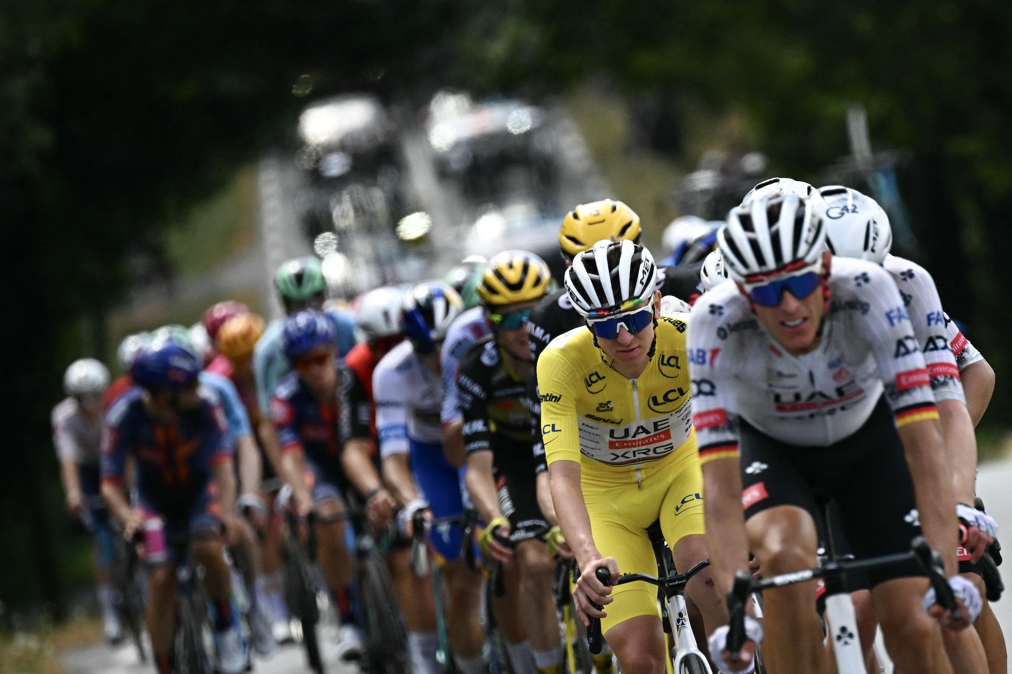 Bir Kaçışın Anatomisi