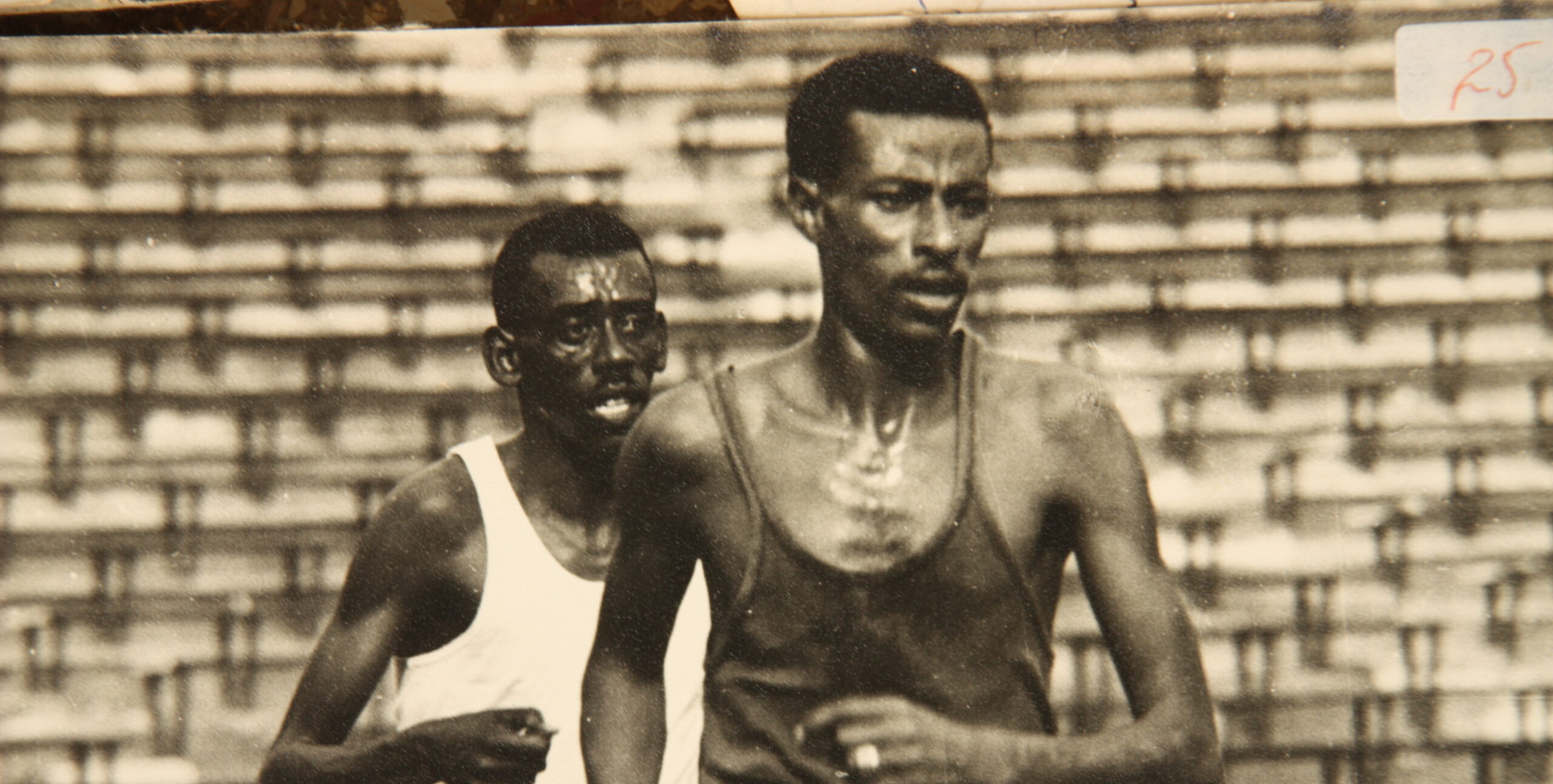 Bir Şampiyonun Gölgesinde